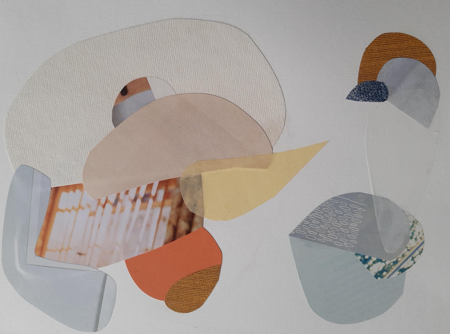 Steffis MinAbs Collage - image 1 - student project