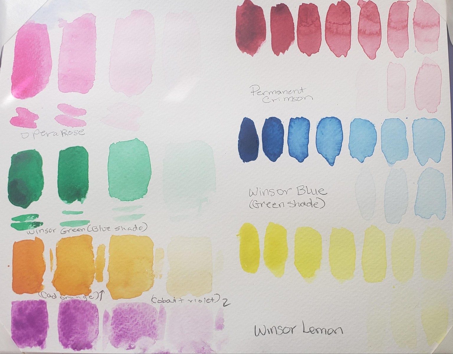 Watercolor w/ Me - Loose & Juicy Fruit Slices - image 3 - student project