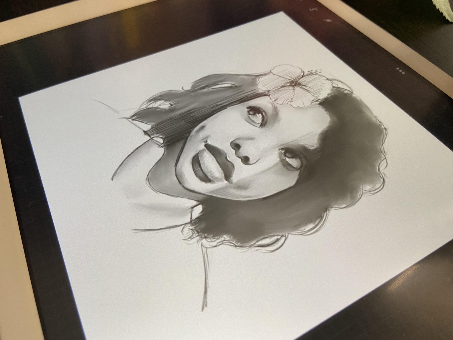 Shading Techniques for Portraits Sample Project - image 1 - student project