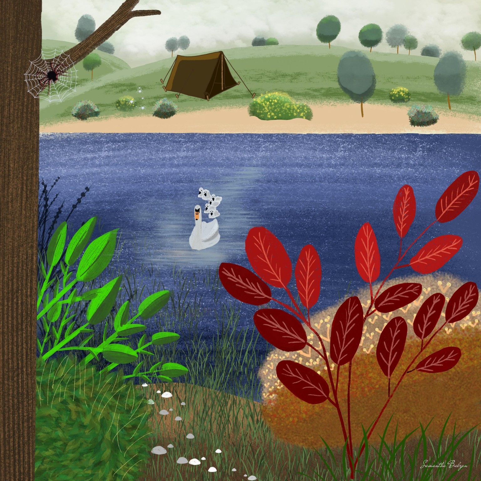 Day on the lake - image 1 - student project