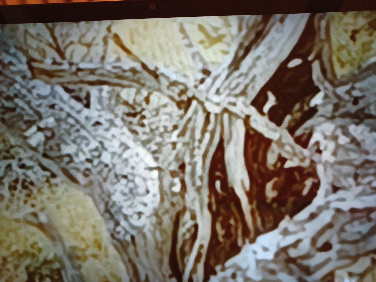 (Very) abstract based on nature - image 1 - student project
