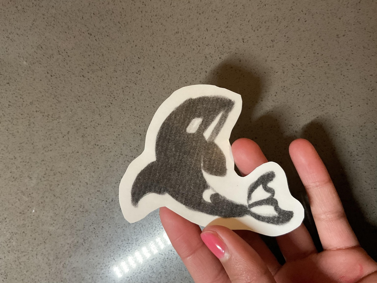 Black & White Animal Stickers - image 5 - student project