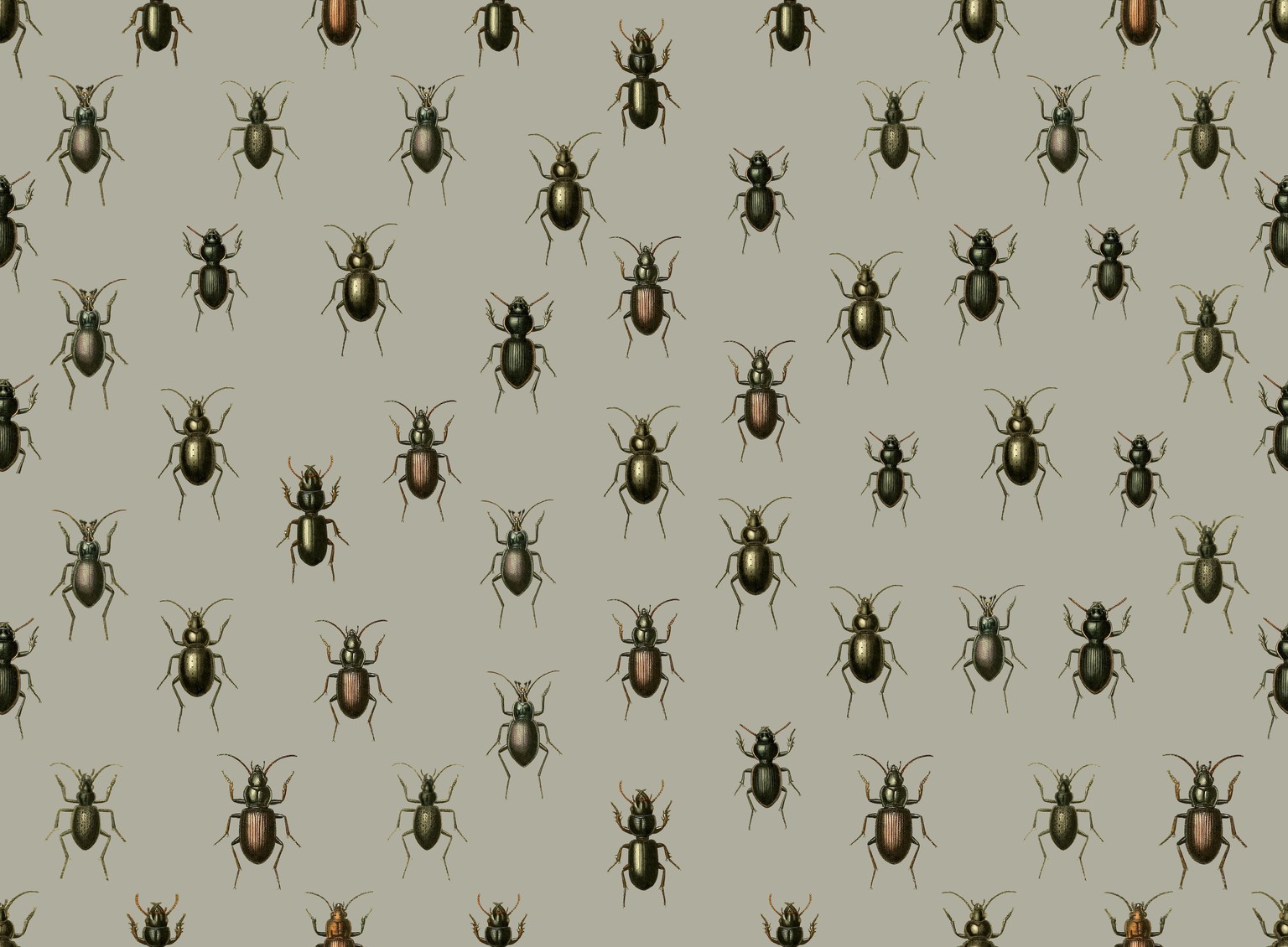Beatles: Pattern Repeat - image 4 - student project