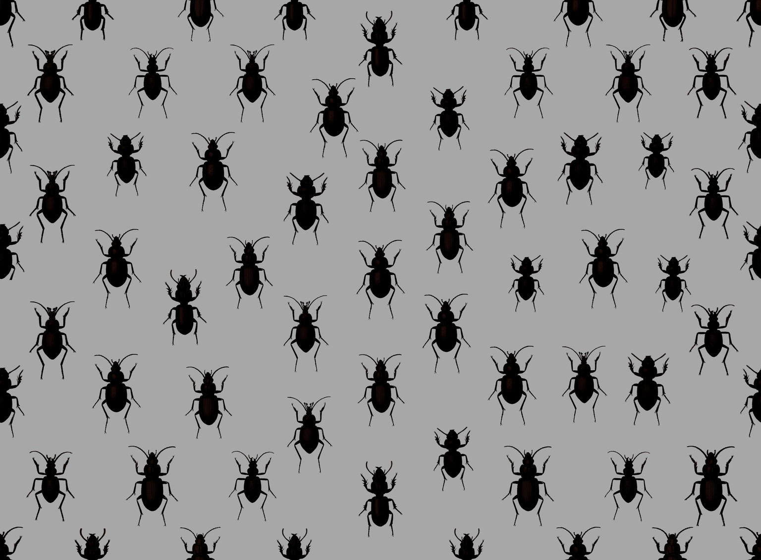 Beatles: Pattern Repeat - image 1 - student project
