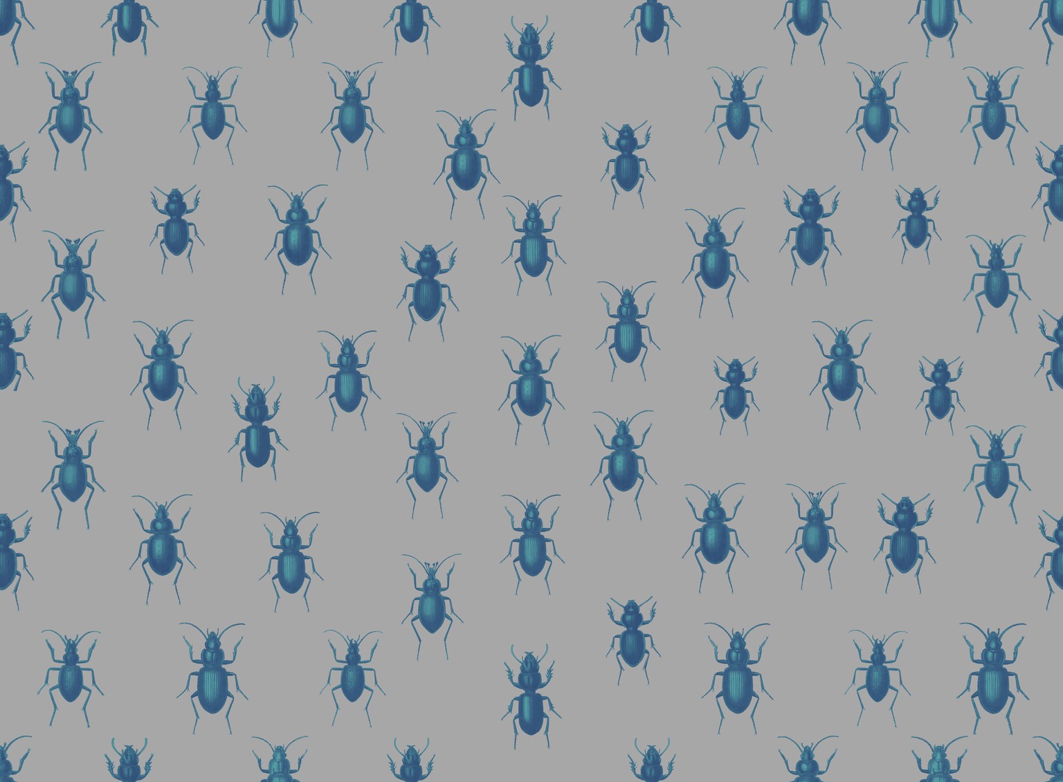 Beatles: Pattern Repeat - image 2 - student project