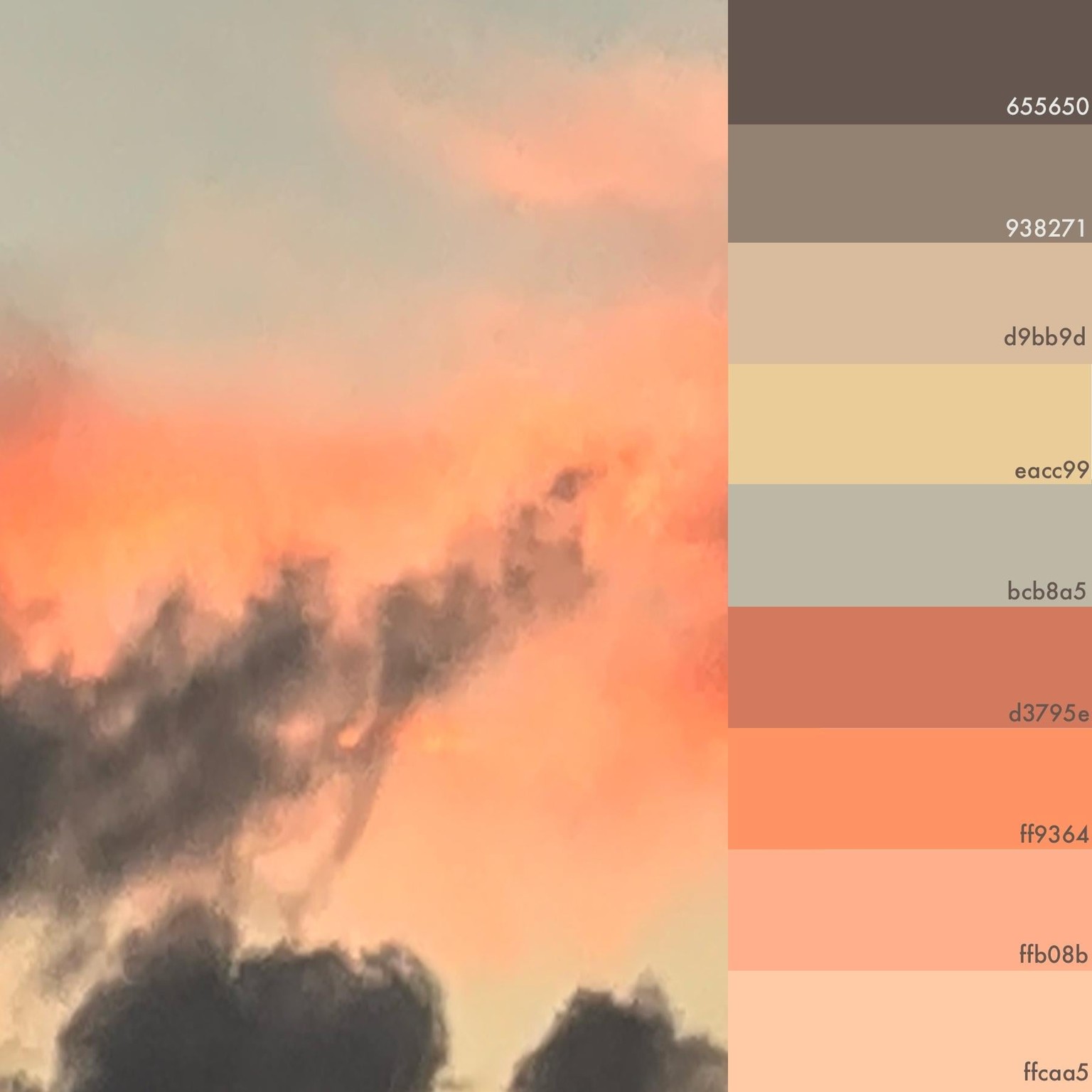 Color palettes - image 1 - student project