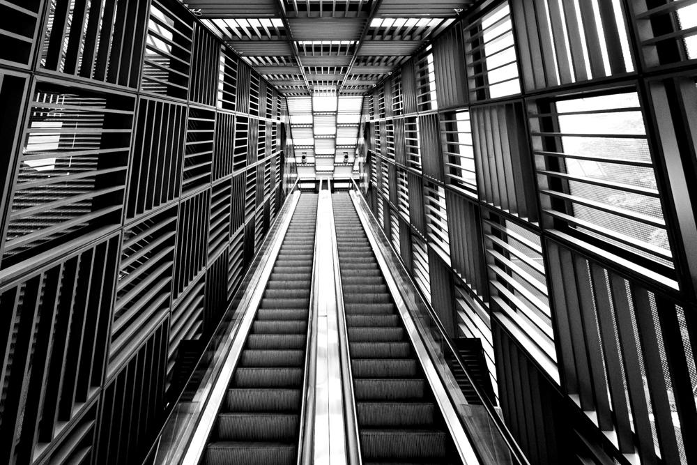 Class Project and Reflections - image 3 - student project
