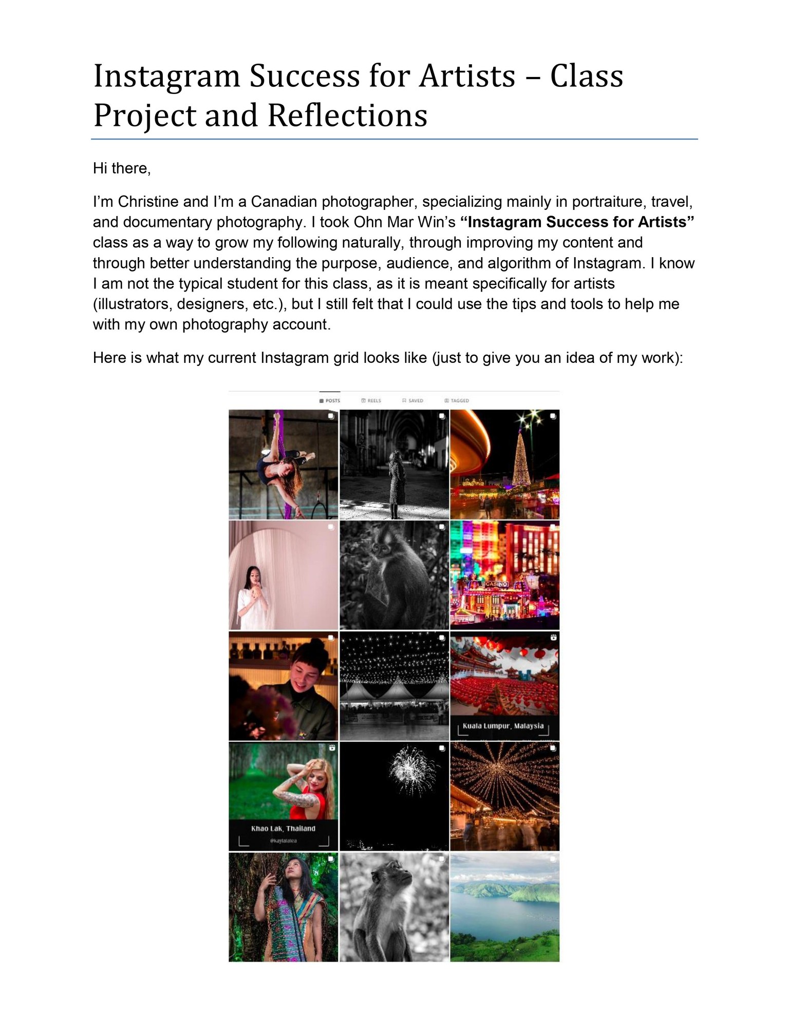 My Class Project and Reflections - image 1 - student project