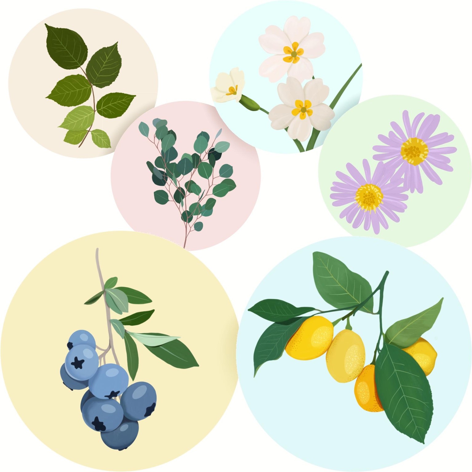 Intro to gouache - botanicals projects - image 7 - student project