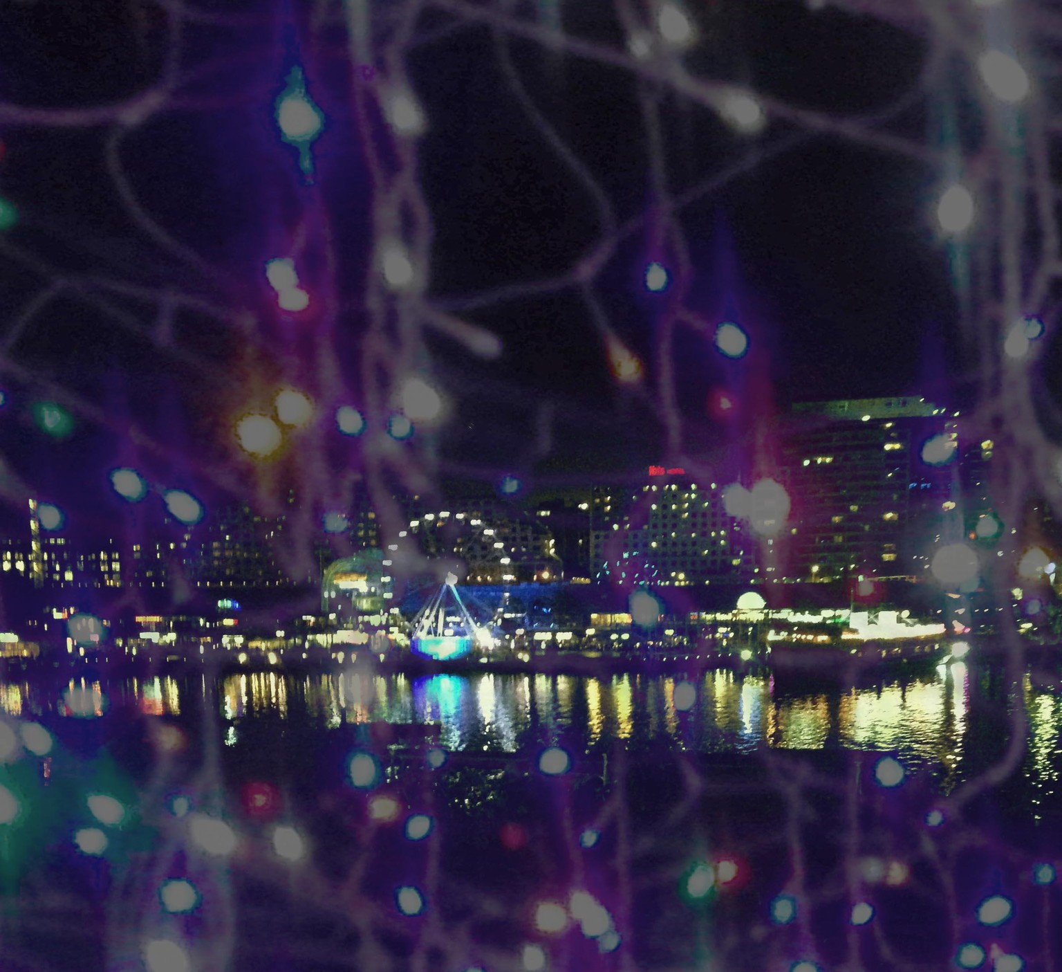 Darling Harbour Lights - image 1 - student project