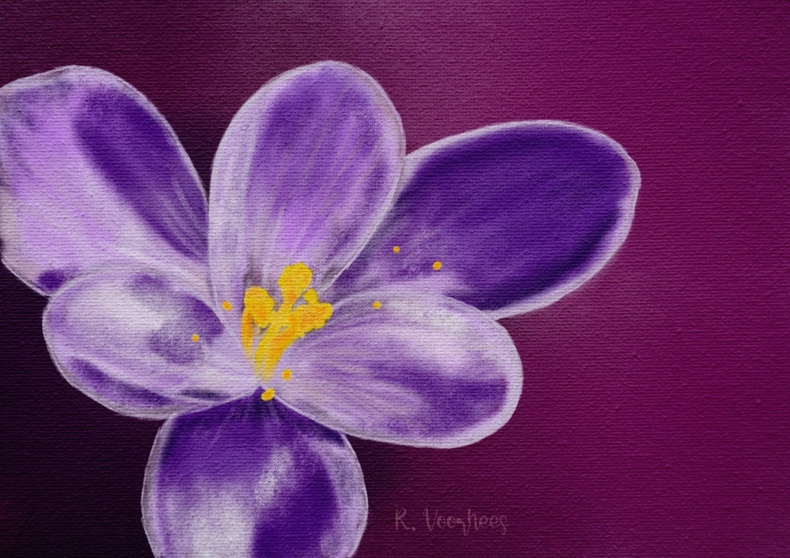 Springtime Crocus - image 1 - student project