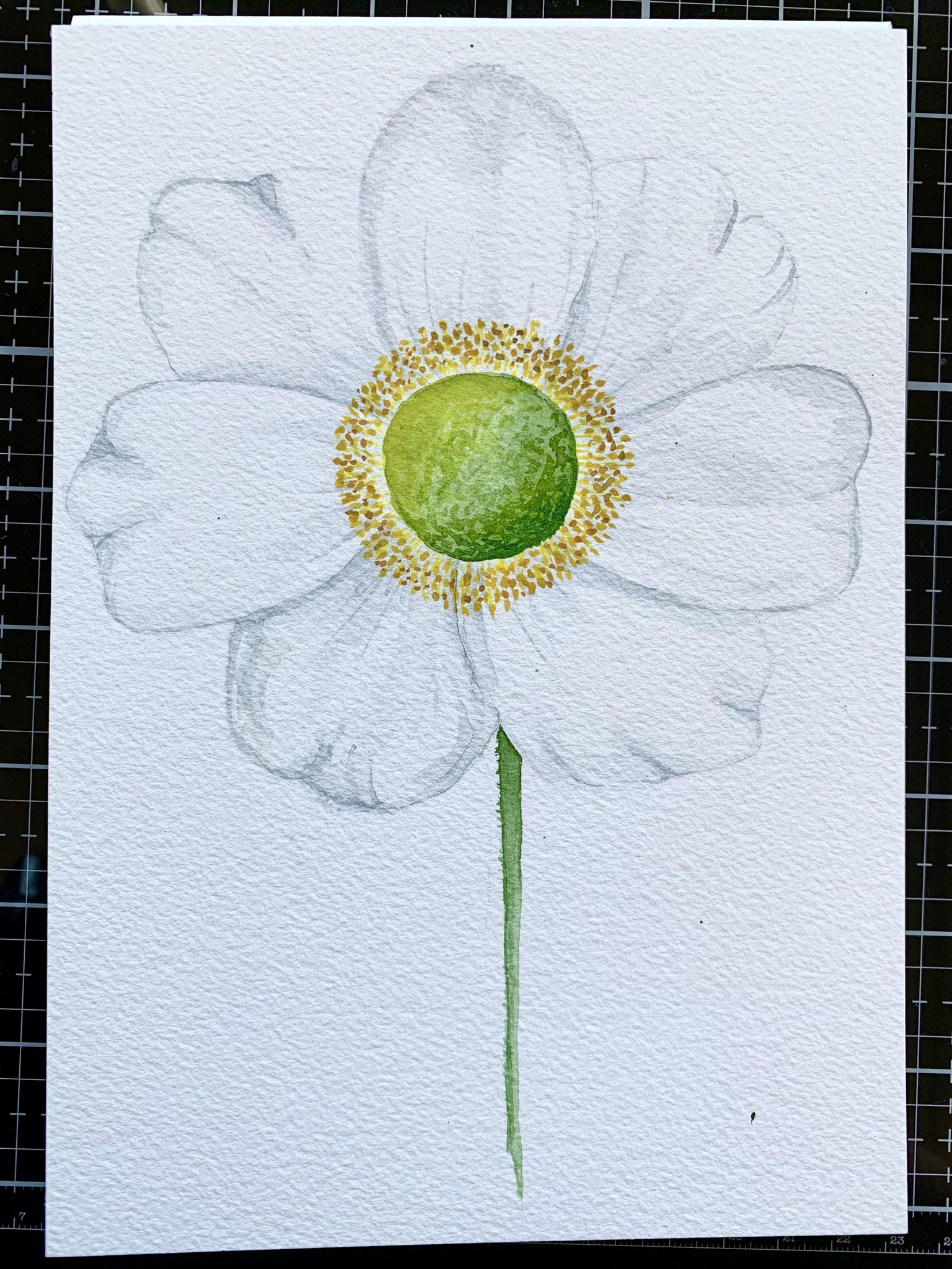 White flowers - image 1 - student project
