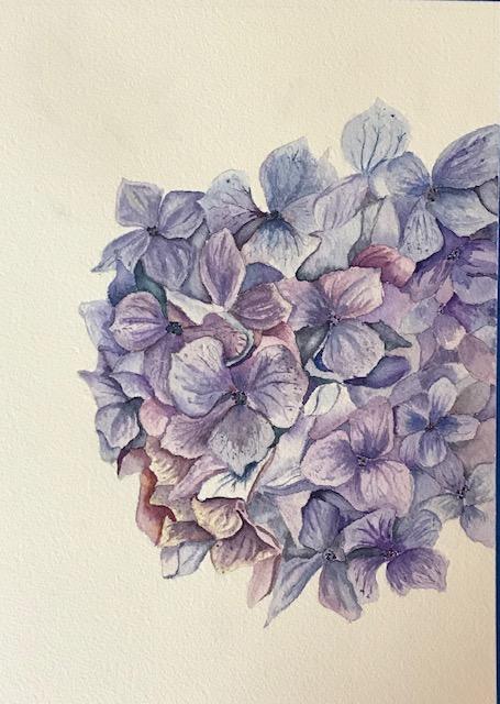 Hydrangea - image 1 - student project