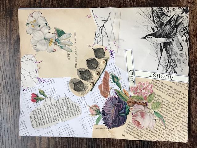 Nuthatch Collage - image 1 - student project