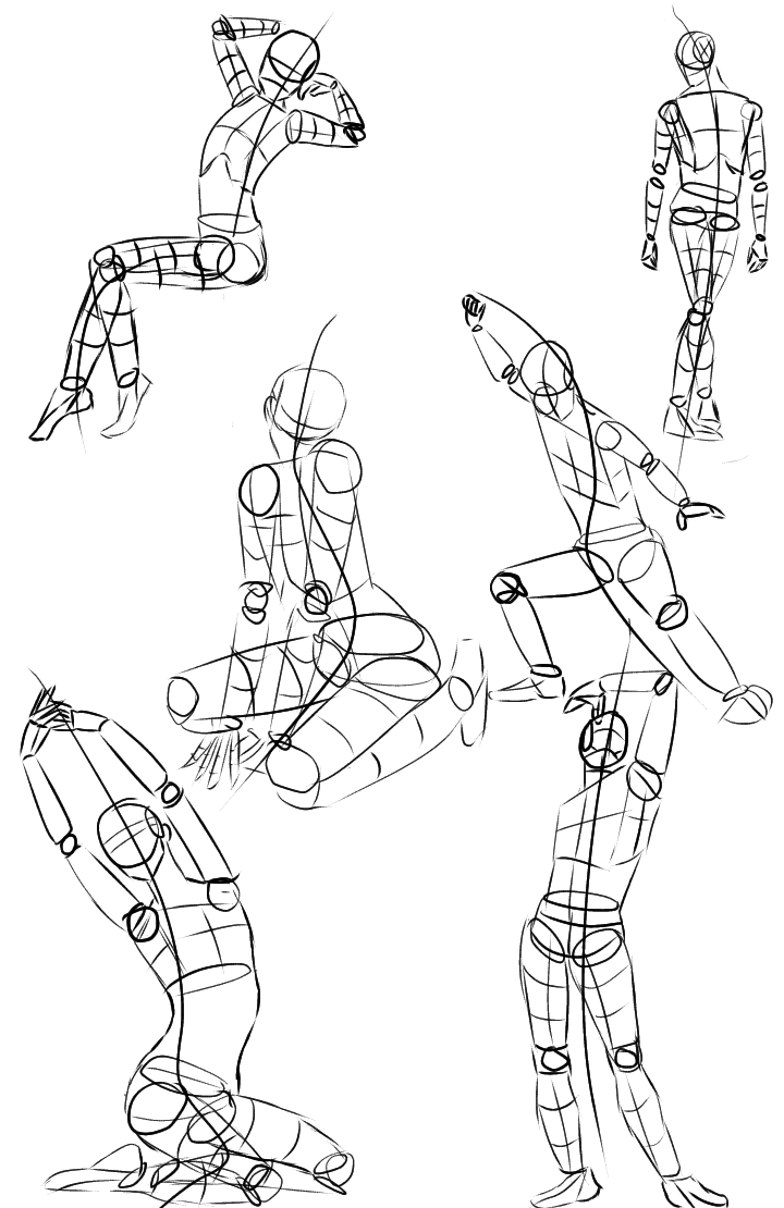Anatomy Structure Study - image 3 - student project