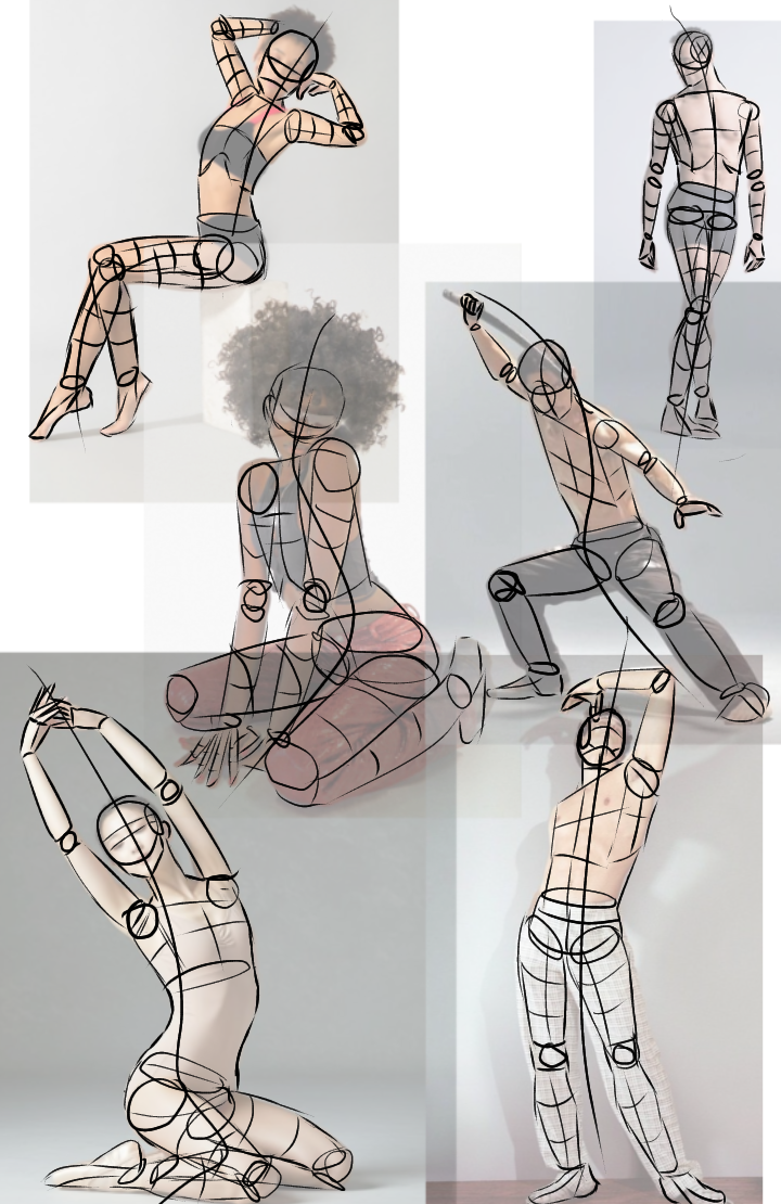 Anatomy Structure Study - image 2 - student project