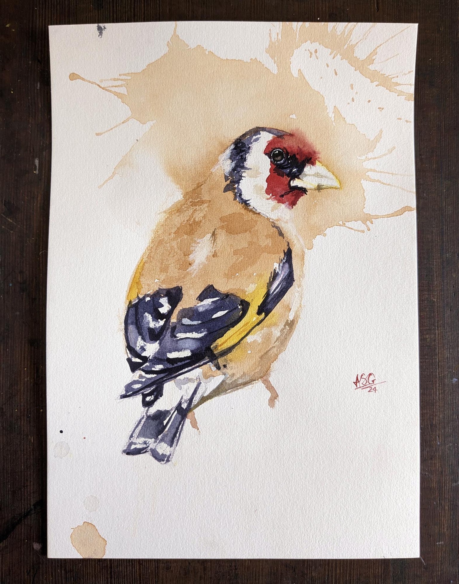 Glorious Goldfinch - image 1 - student project
