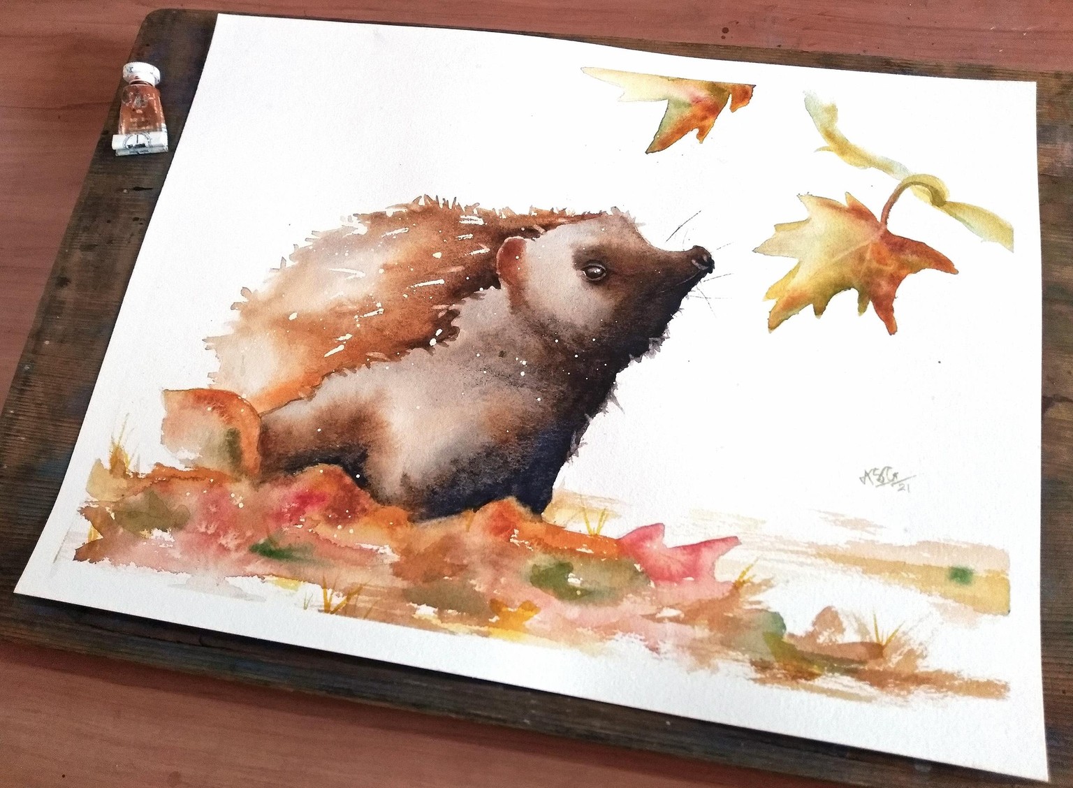 Hedgehog - image 1 - student project