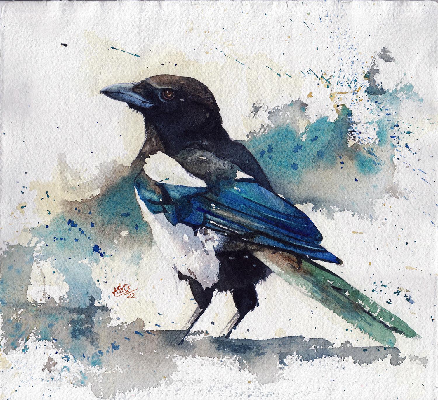 Cheeky Magpie - image 1 - student project
