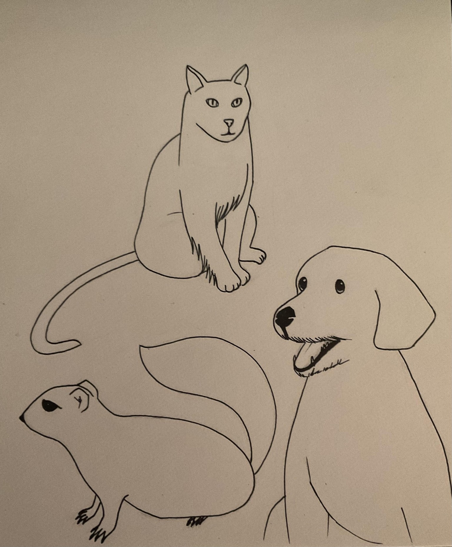 Drawing basics - image 1 - student project