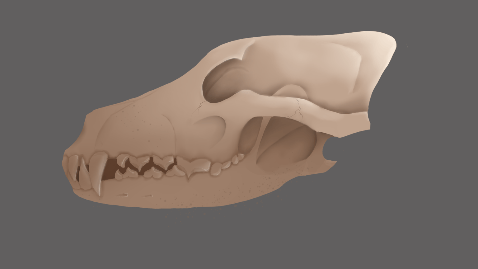 Tree and Skull - image 1 - student project