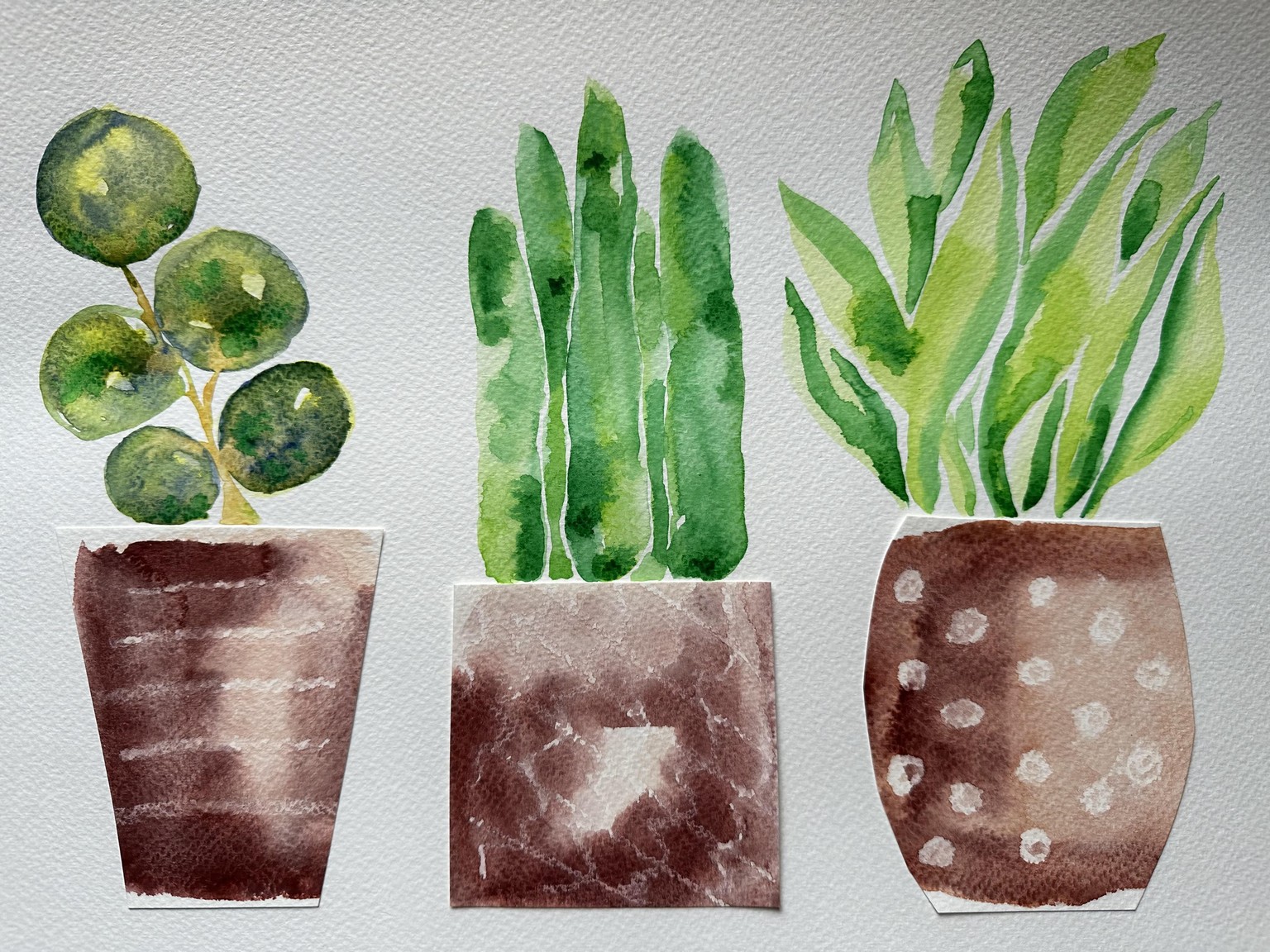 Two versions of the plant thing - image 1 - student project