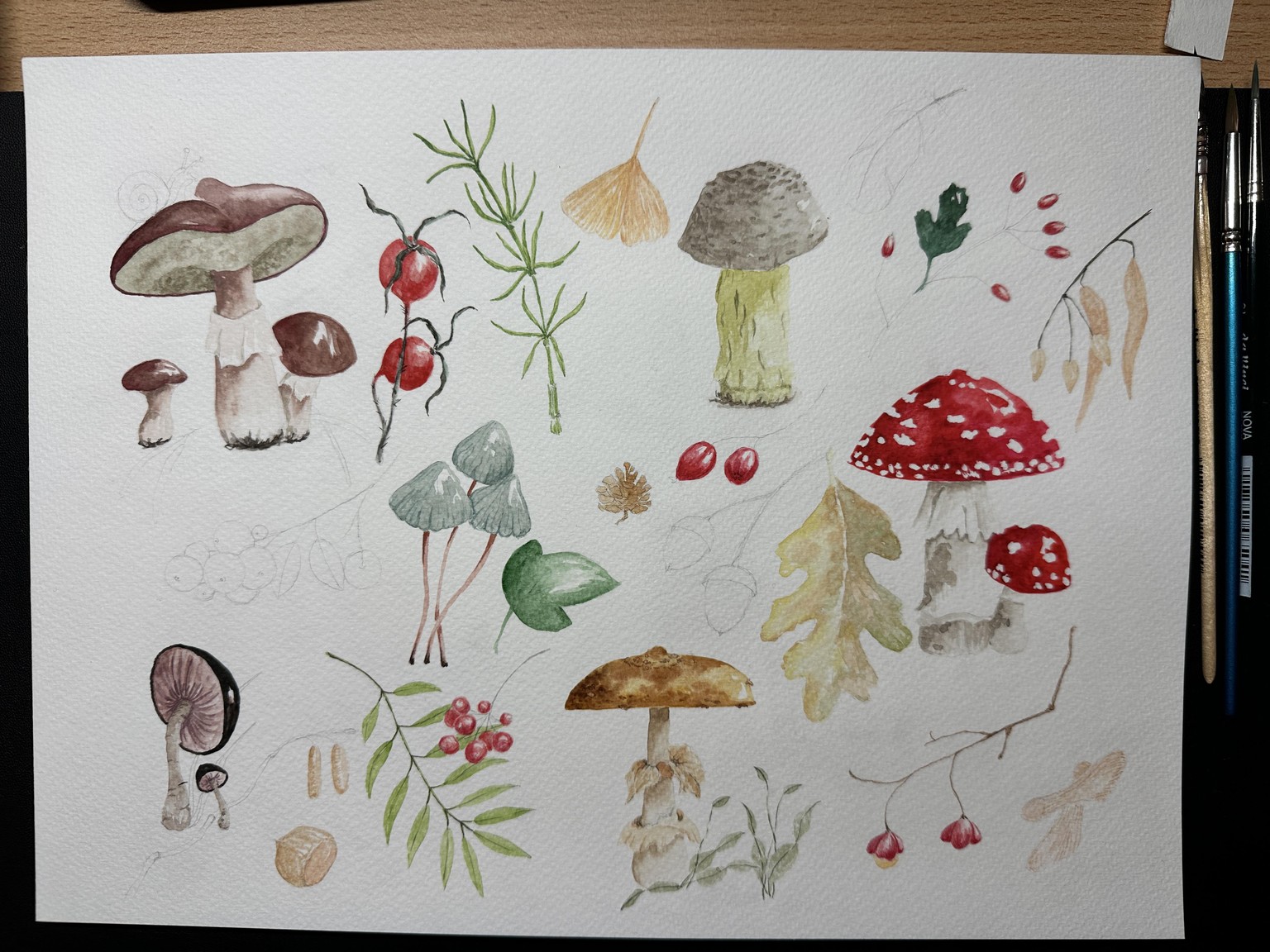 Herbst - Autumn - image 3 - student project