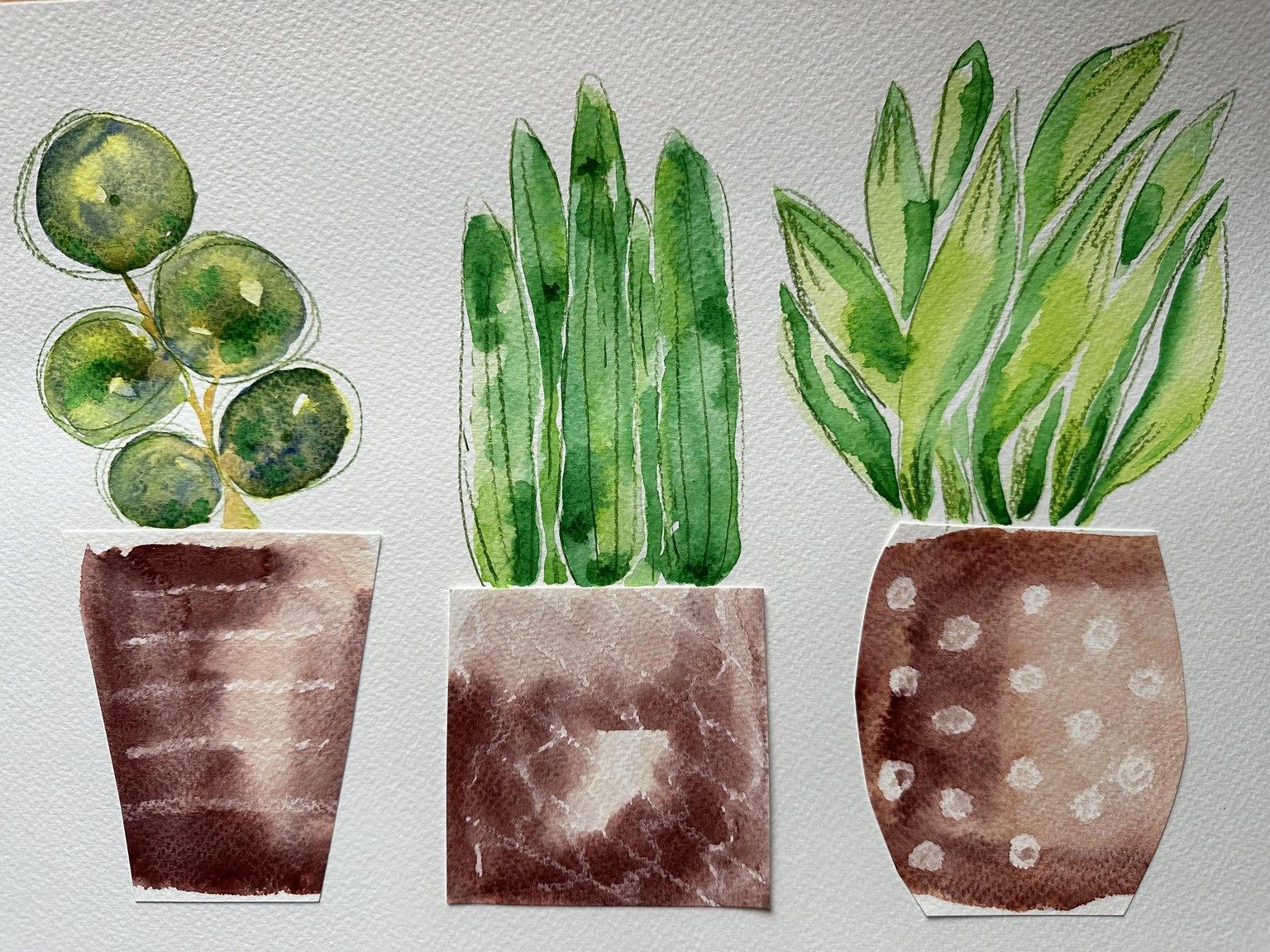 Two versions of the plant thing - image 2 - student project