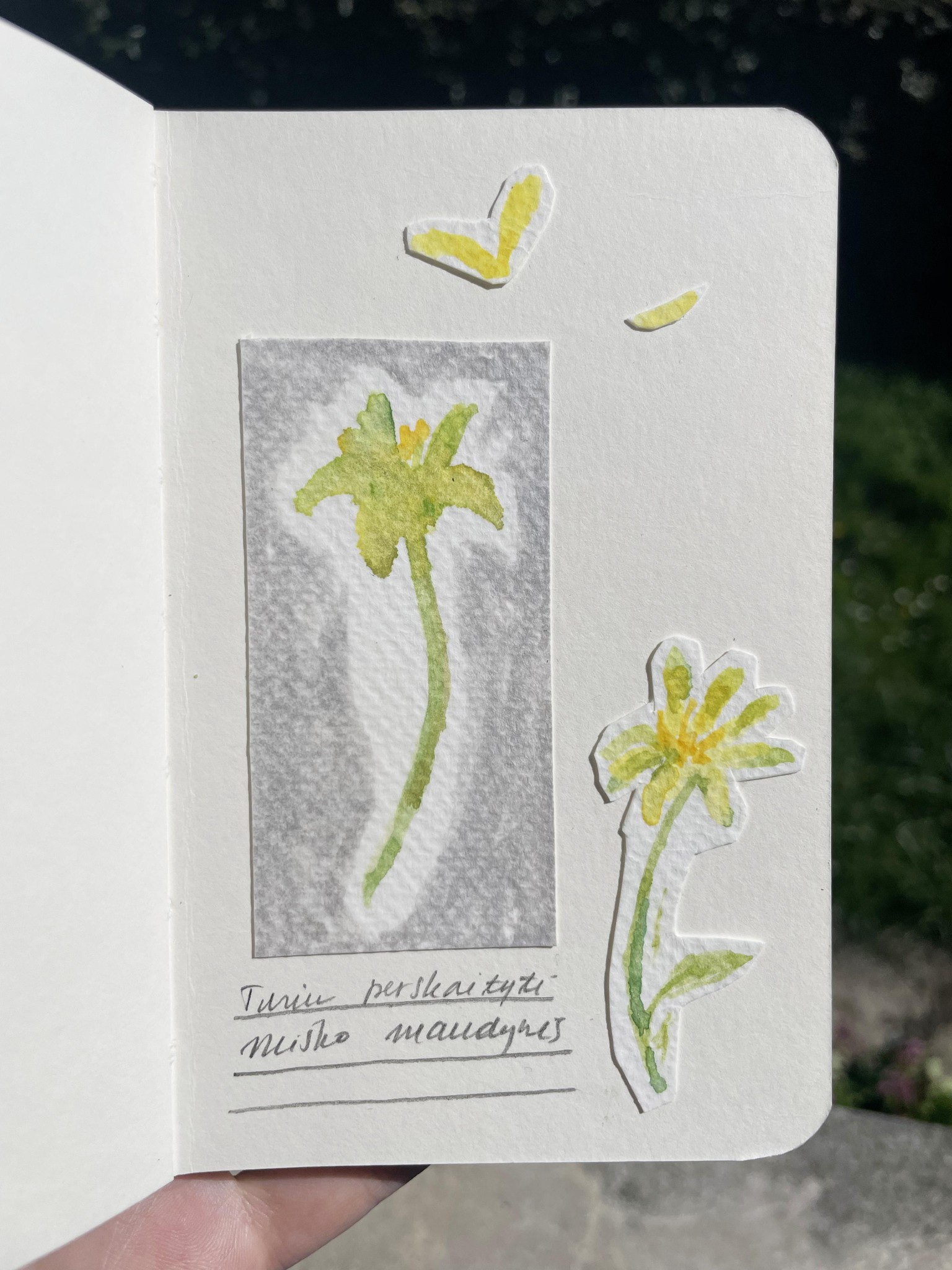 Nature journal - image 1 - student project
