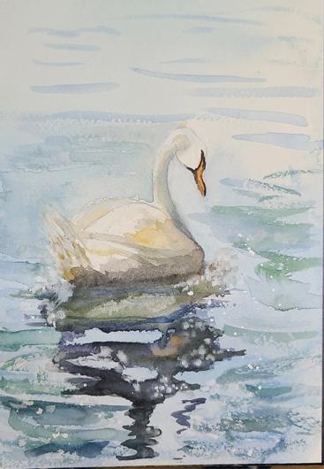 the boat and the swan - image 2 - student project