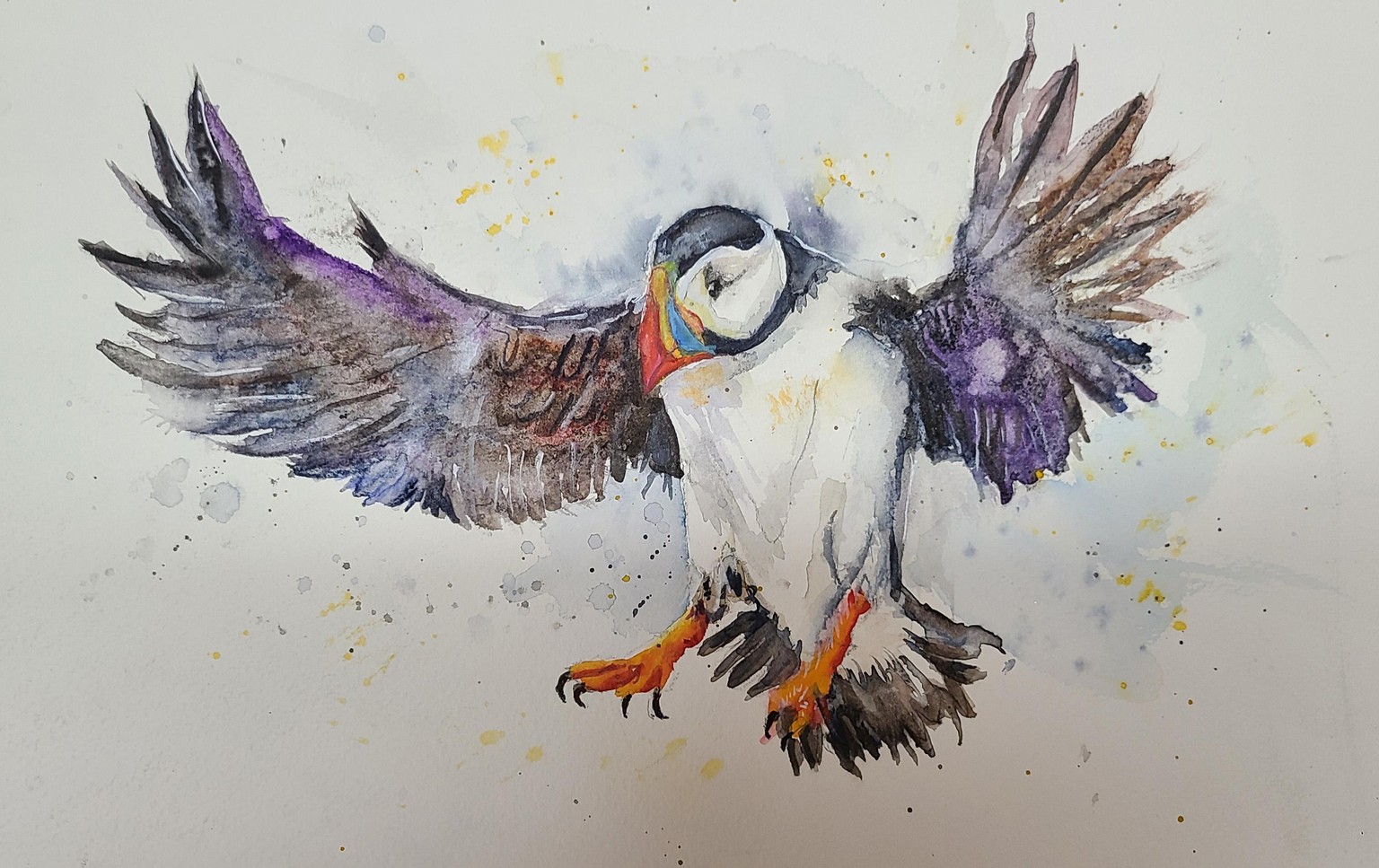Puffin landing - image 1 - student project