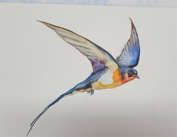 Swallow - image 2 - student project