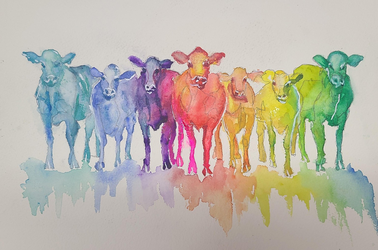 Rainbow Cows - image 1 - student project