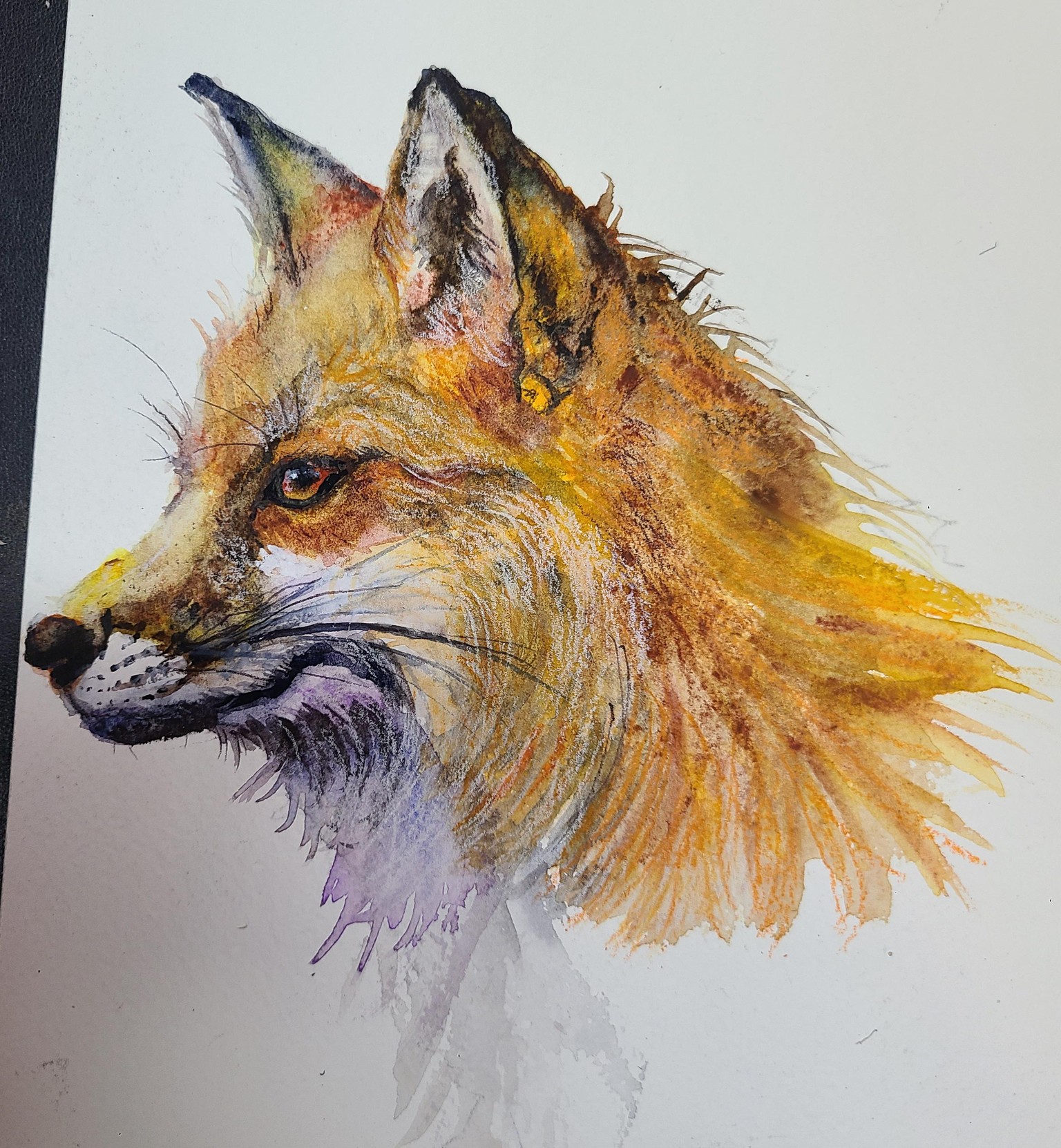Mr. Fox - image 1 - student project