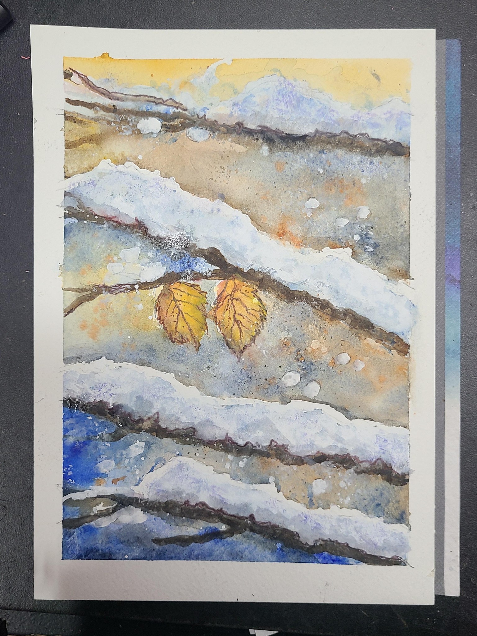 Snow covered branches - image 1 - student project