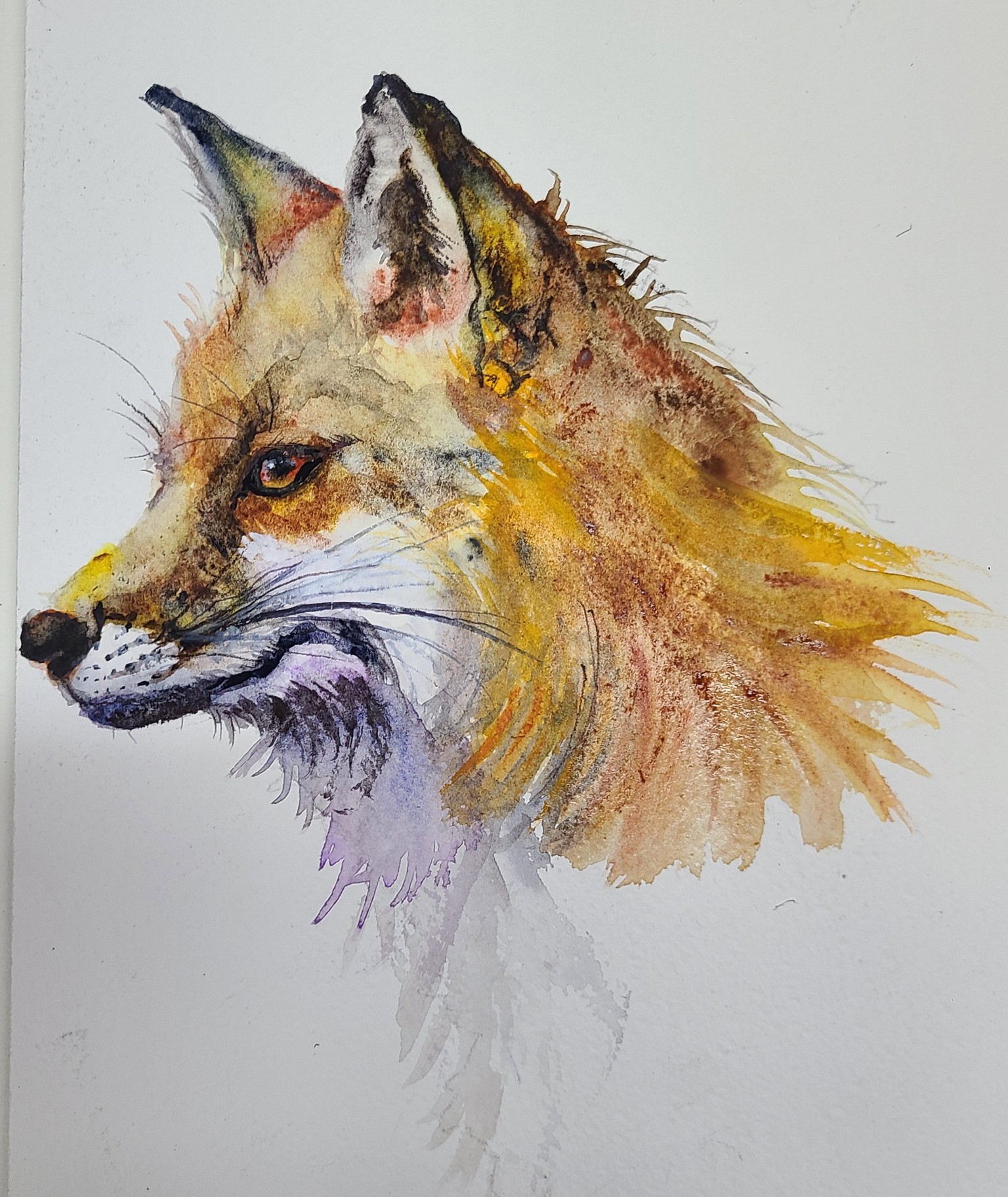 Mr. Fox - image 2 - student project