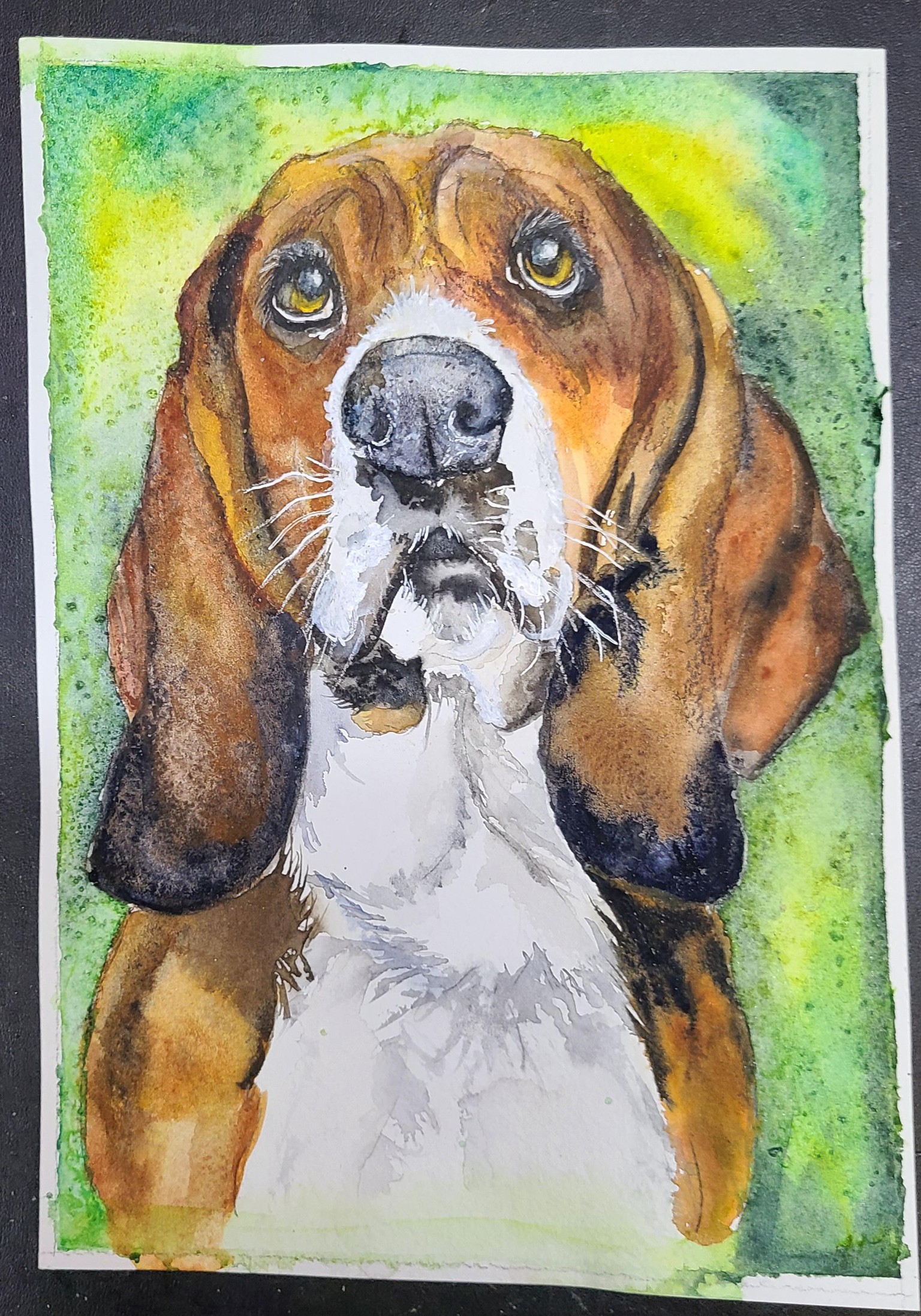 Cooper with background - image 1 - student project