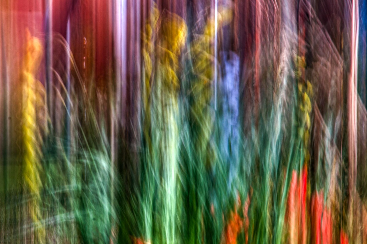 ICM - image 1 - student project