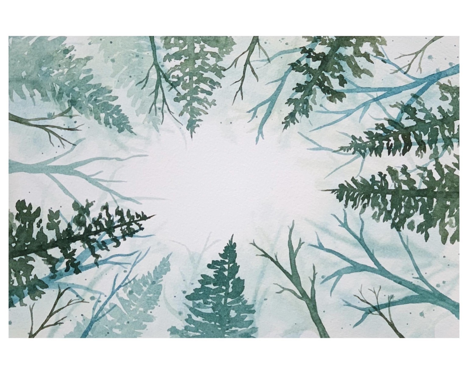 Trees from below - image 1 - student project