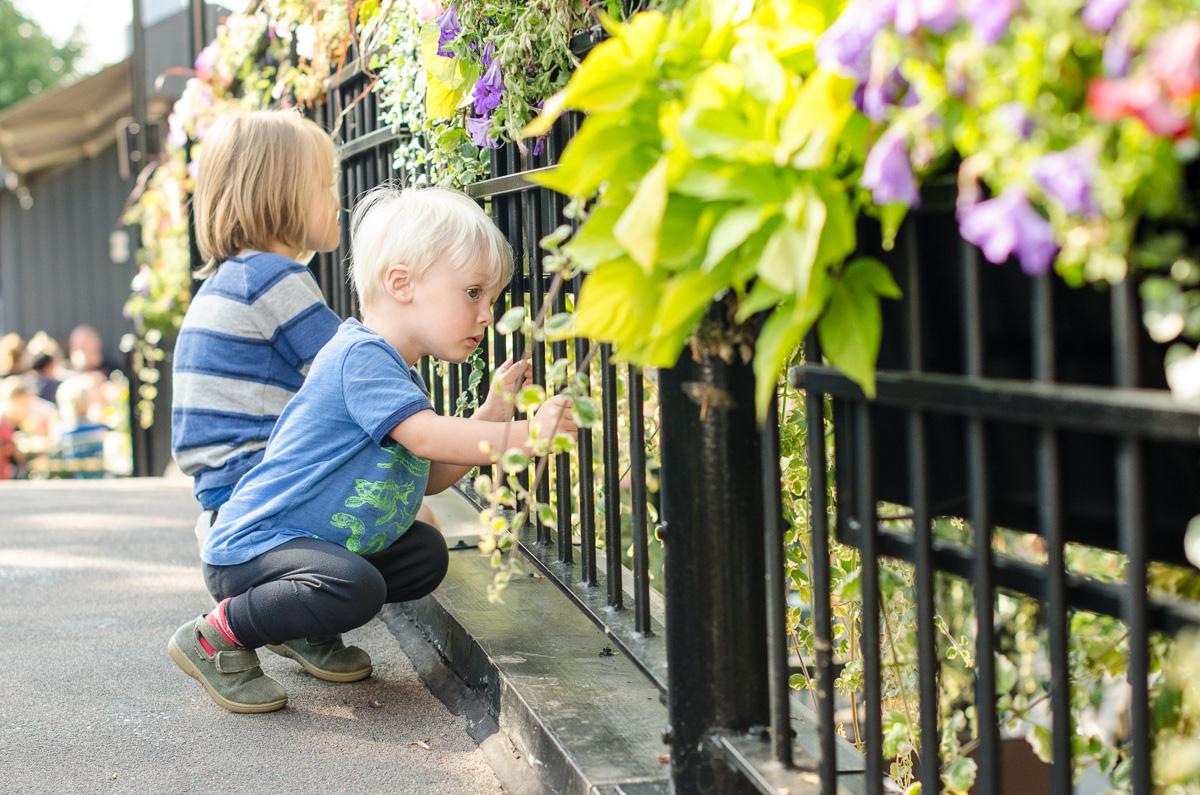 Family trip to Gröna Lund - image 3 - student project