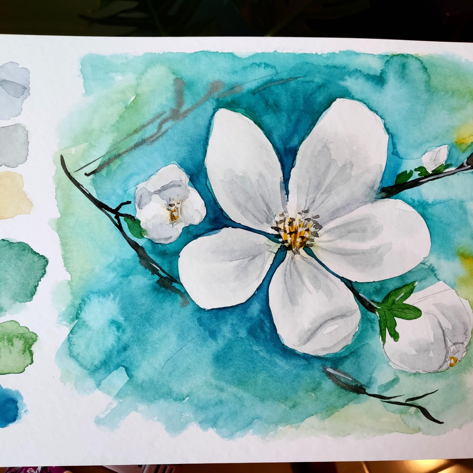 Cherry blossoms - image 1 - student project