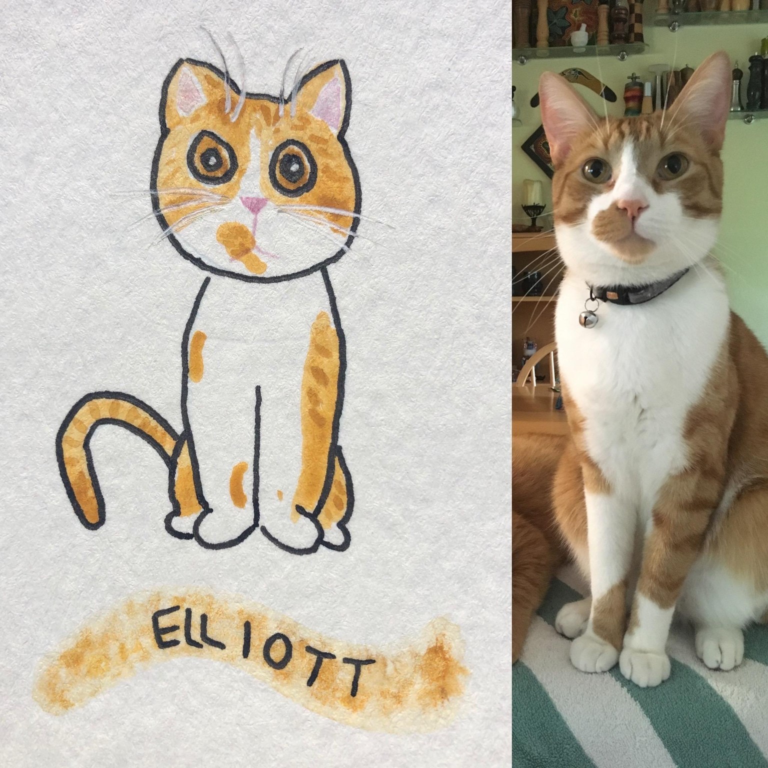 Fun Cats - image 8 - student project
