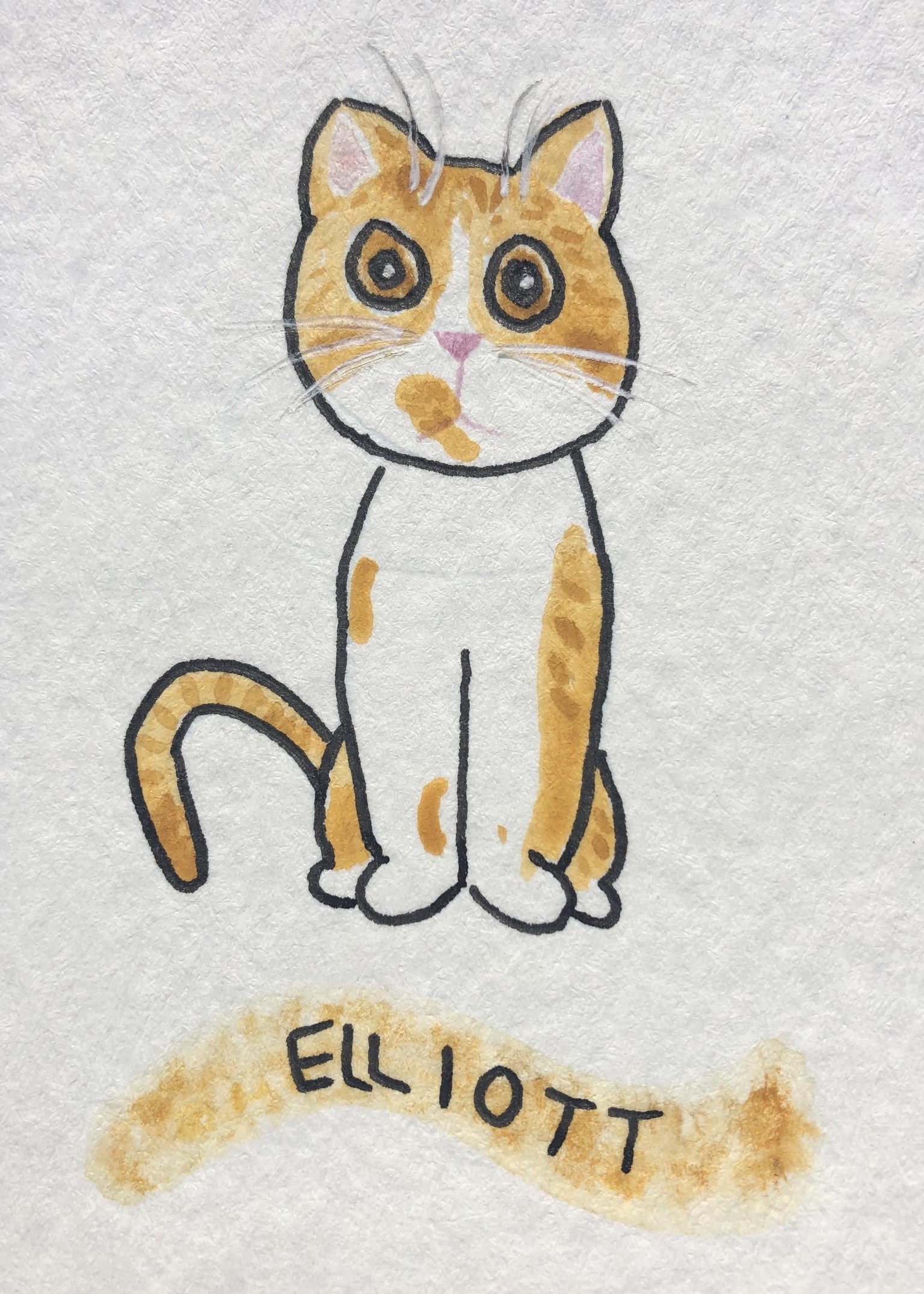Fun Cats - image 7 - student project