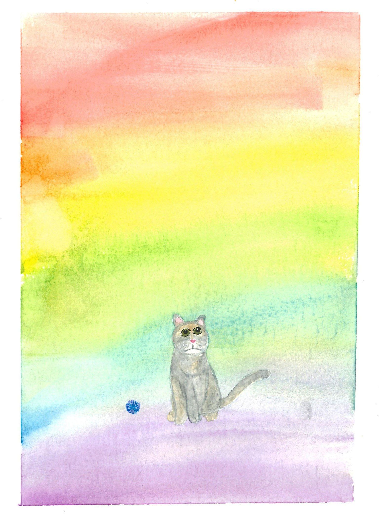 Fun Cats - image 6 - student project