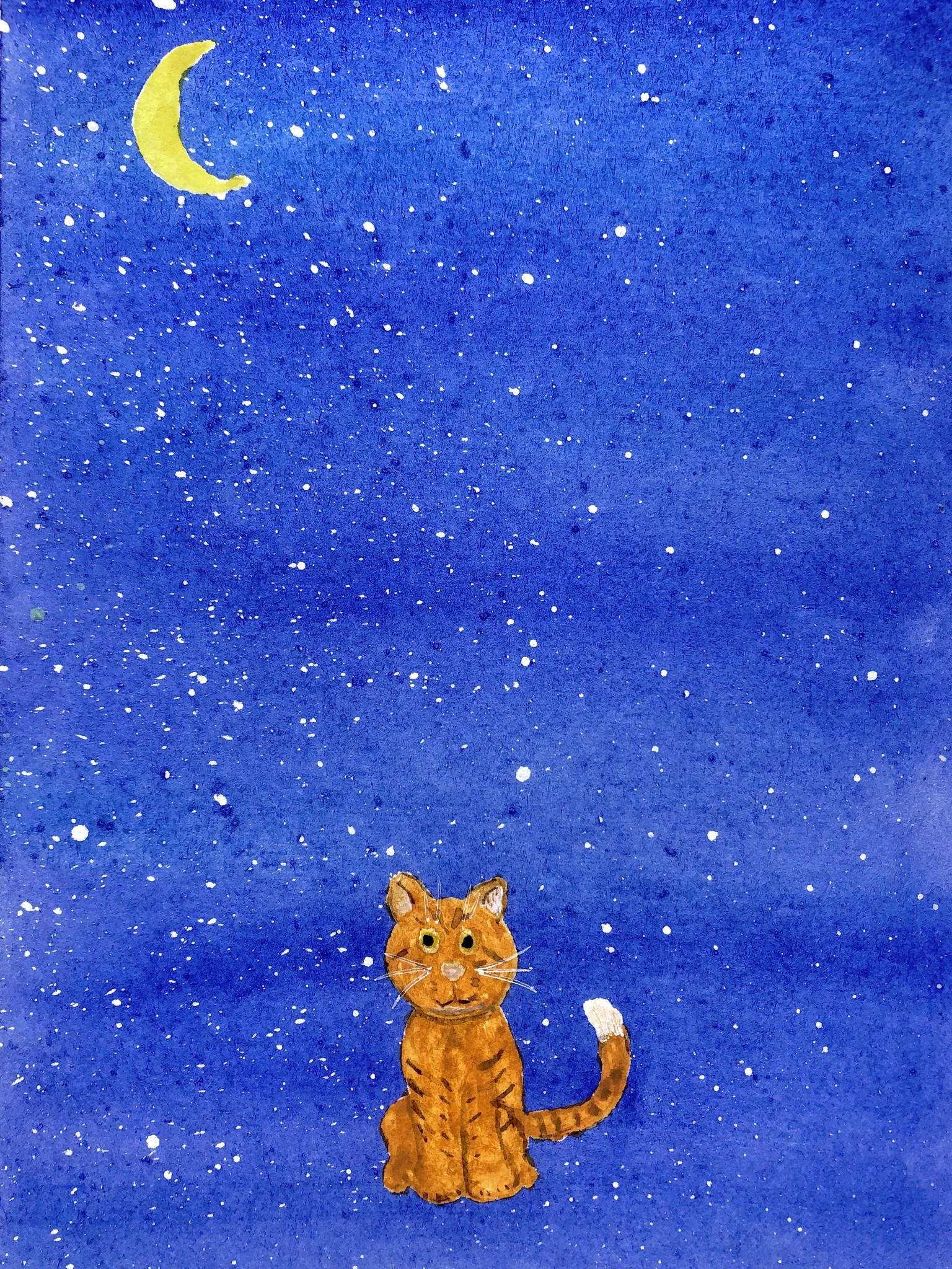 Fun Cats - image 2 - student project