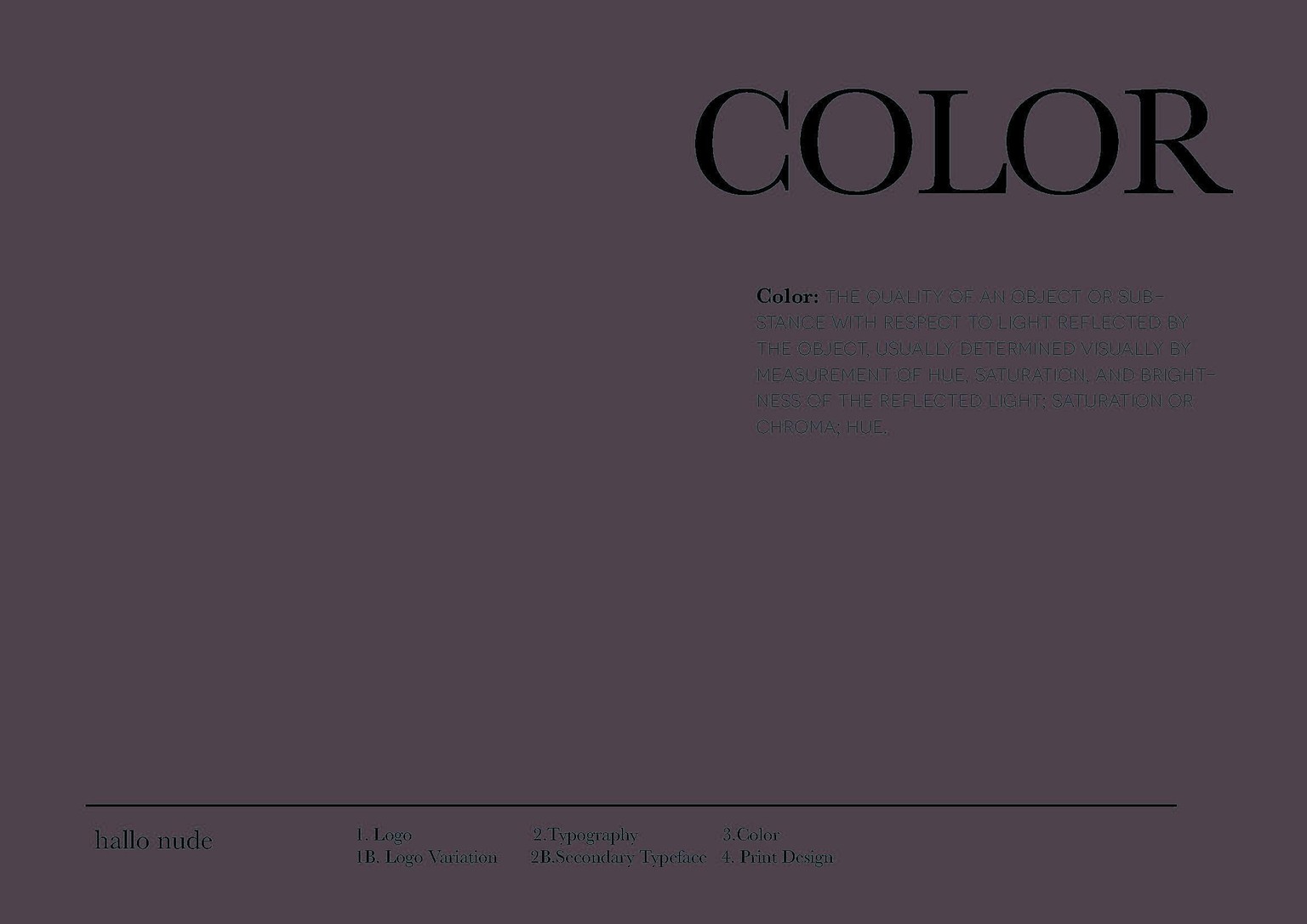 Brand Manual - image 14 - student project