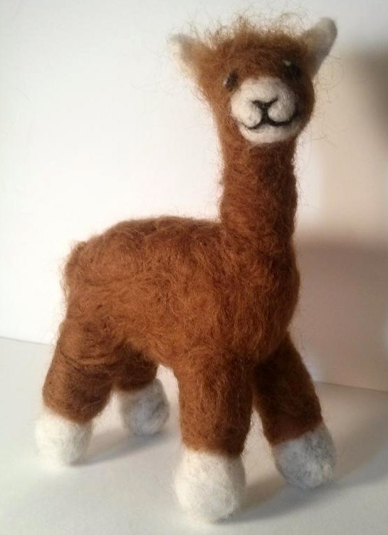 Alpaca All Dressed Up - image 1 - student project
