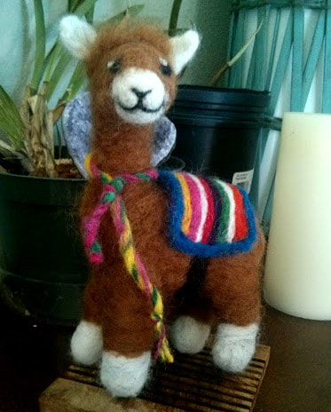 Alpaca All Dressed Up - image 2 - student project