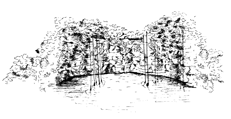 Toile Maya - image 8 - student project