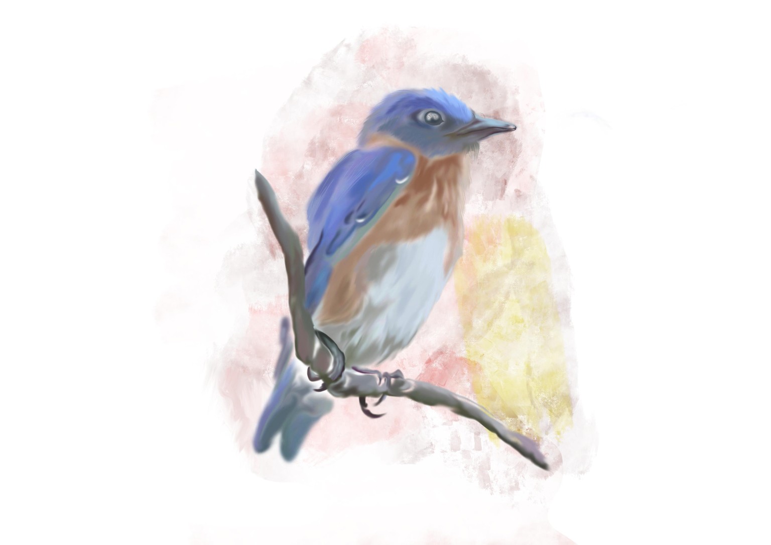 Bird - image 1 - student project